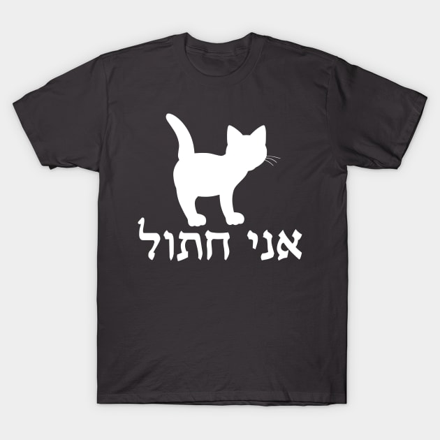 I'm A Cat (Hebrew, Masculine) T-Shirt by dikleyt